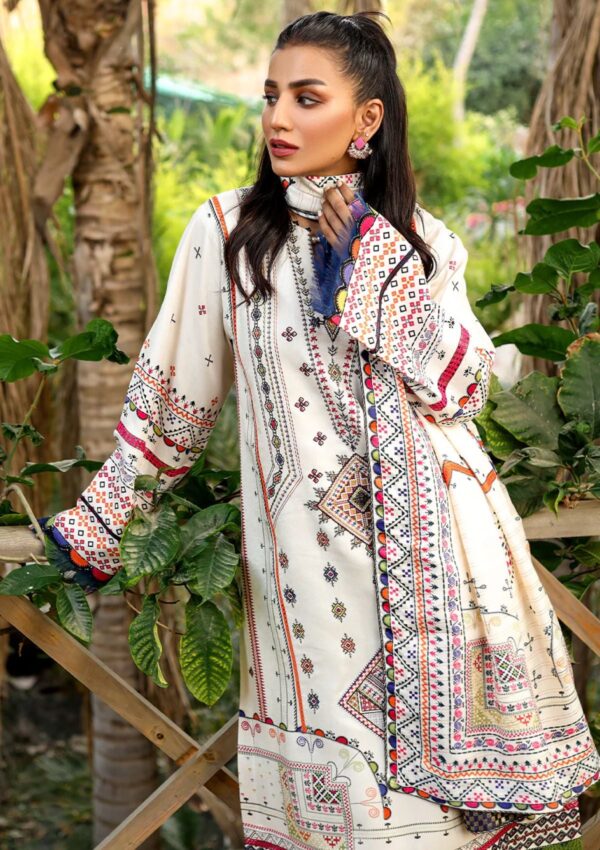 Bin Ilyas Maya Jahan D 764 A Winter Collection