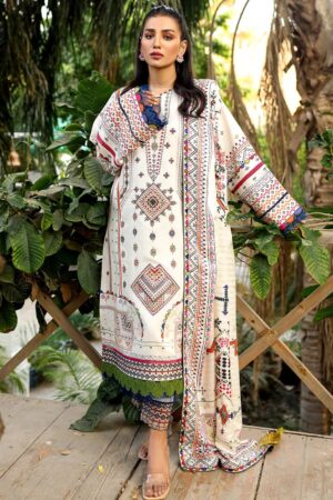 Bin Ilyas Maya Jahan D 764 A Winter Collection