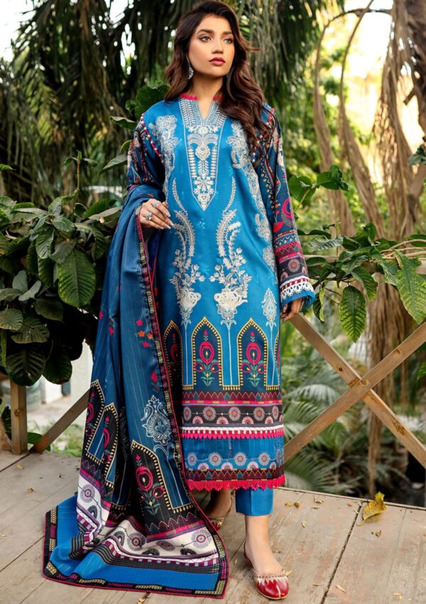 Bin Ilyas Maya Jahan D 765 A Winter Collection