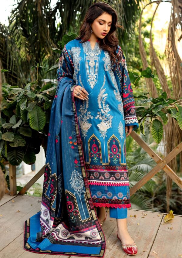 Bin Ilyas Maya Jahan D 765 A Winter Collection