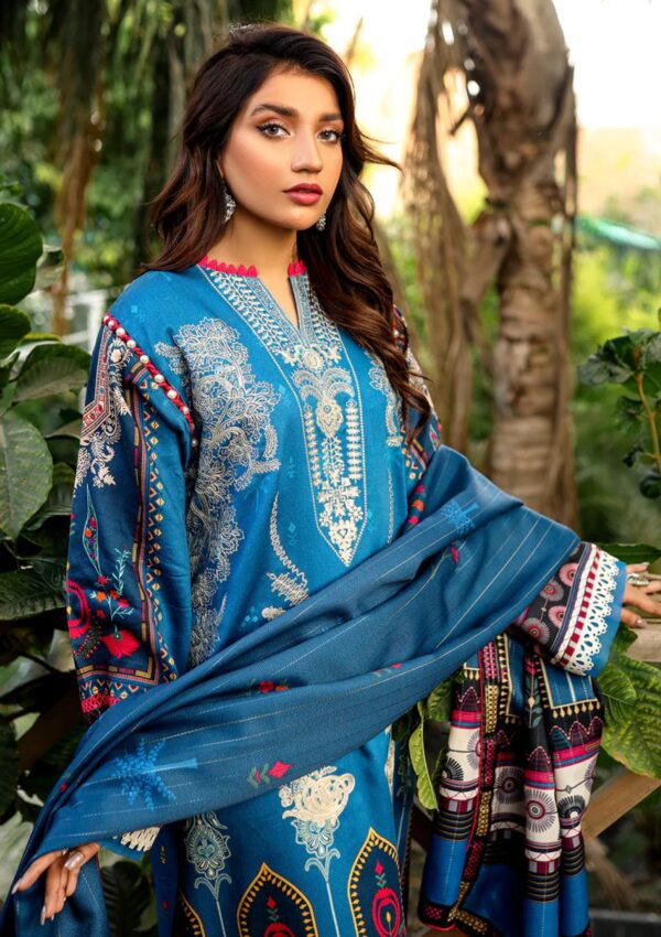 Bin Ilyas Maya Jahan D 765 A Winter Collection