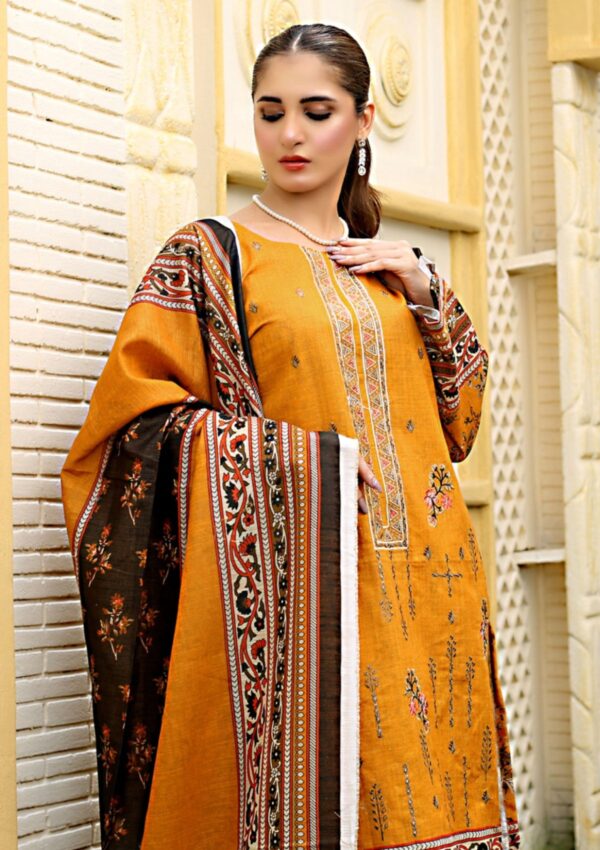 Bin Rashid Aina Ba 02 Winter Collection