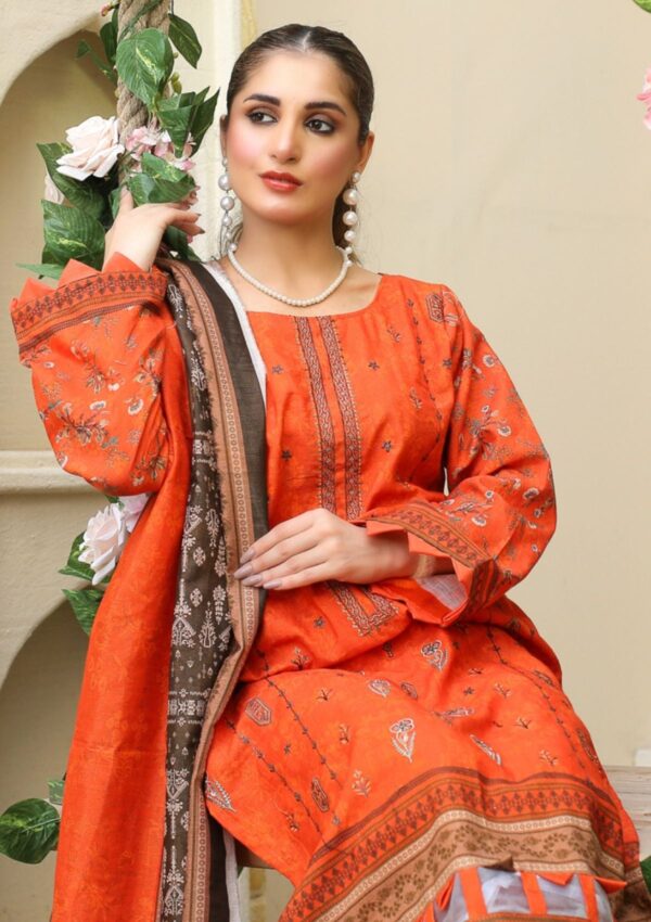 Bin Rashid Aina Ba 05 Winter Collection