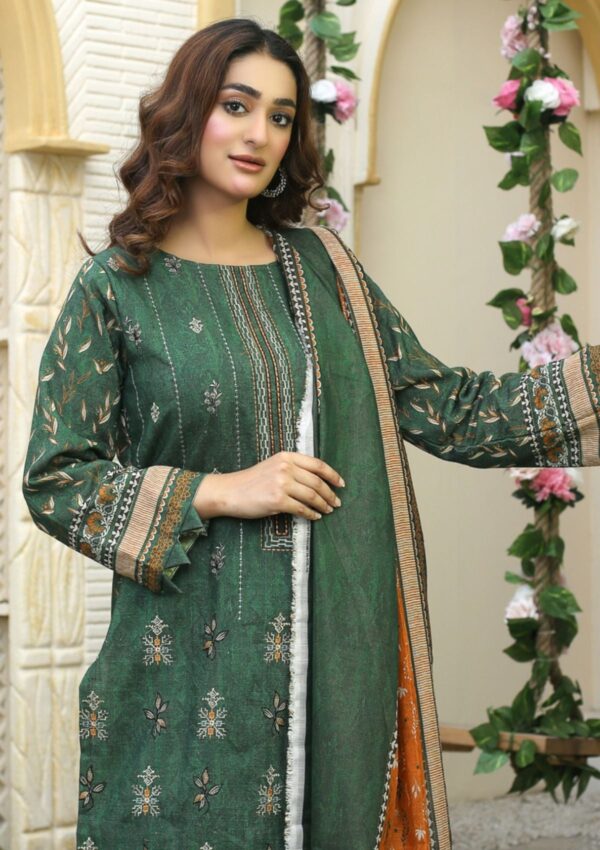 Bin Rashid Aina Ba 06 Winter Collection