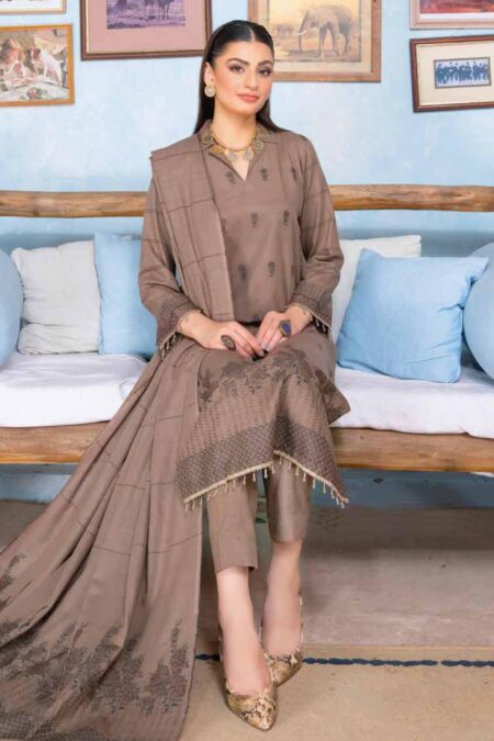 Bin Rashid Lok Virsa Bl 01