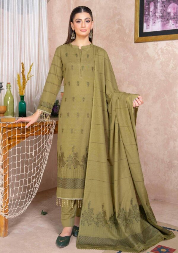 Bin Rashid Lok Virsa Bl 03 Winter Collection