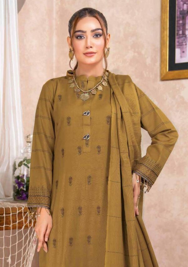 Bin Rashid Lok Virsa Bl 06 Winter Collection