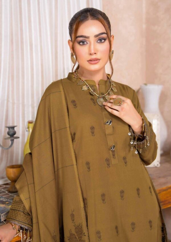 Bin Rashid Lok Virsa Bl 06 Winter Collection