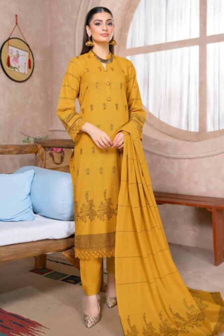 Bin Rashid Lok Virsa Bl 09
