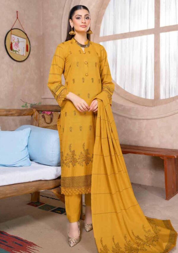 Bin Rashid Lok Virsa Bl 09 Winter Collection