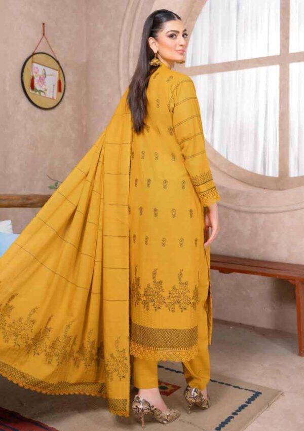 Bin Rashid Lok Virsa Bl 09 Winter Collection