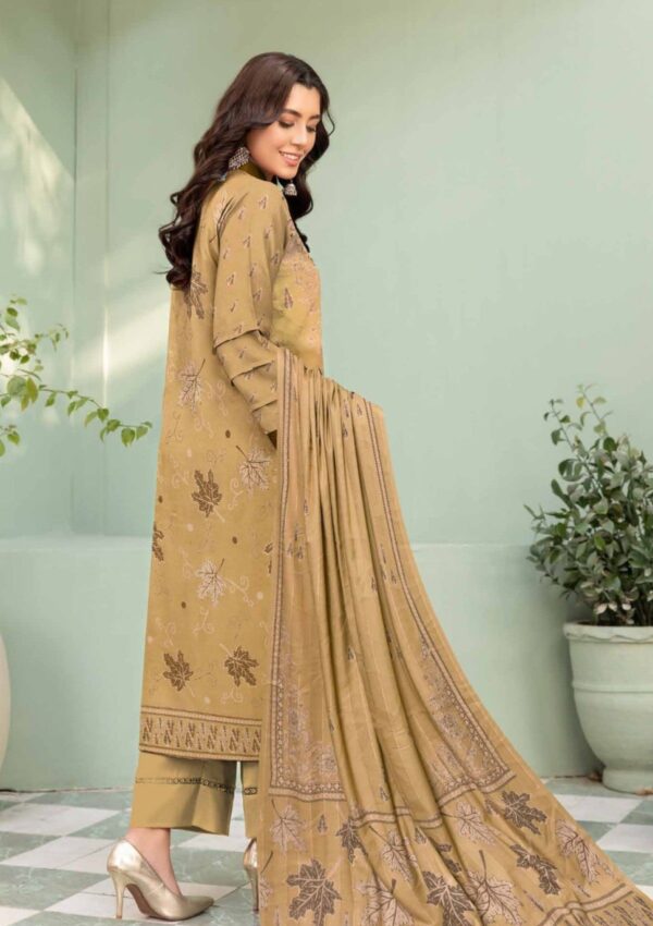 Bin Rashid Zarmeen Brz 04 Winter Collection