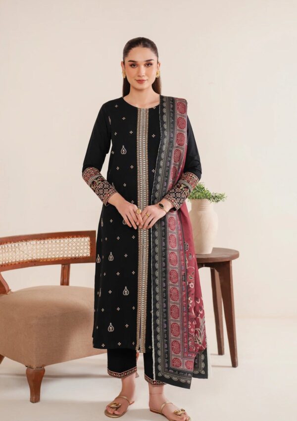 Garnet Clothing Silhouette Bakhtawar Pret Collection Winter Collection