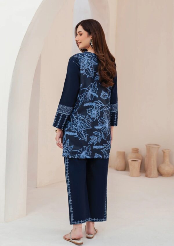 Garnet Clothing Winter Silhouette Momal Pret Collection