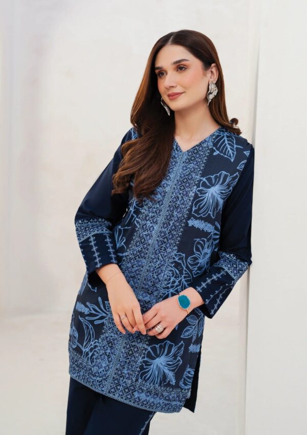 Garnet Clothing Winter Silhouette Momal Pret Collection