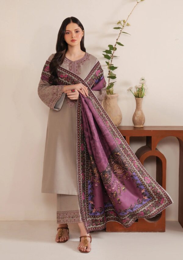 Garnet Clothing Winter Silhouette Shahmina Pret Collection