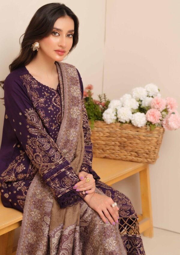 Johra Meerab Jh 646 Winter Collection