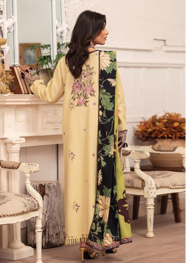 Roheenaz Meraki Rm 02A Evie Winter Collection