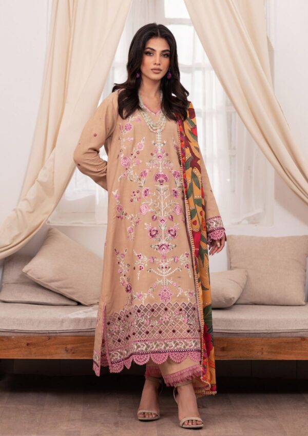 Roheenaz Meraki Rm 03B Blair Winter Collection