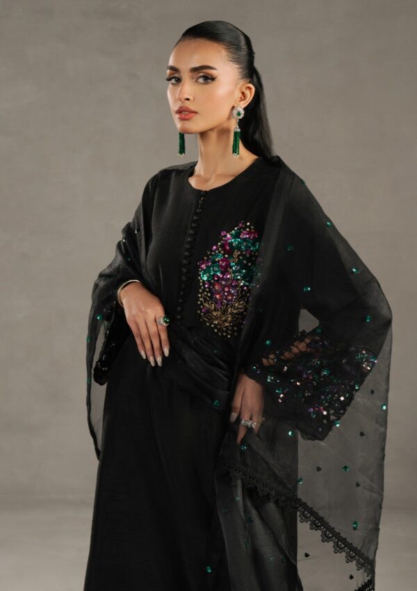 Zarqash Silk Edit Zqs 14 Della pret Collection