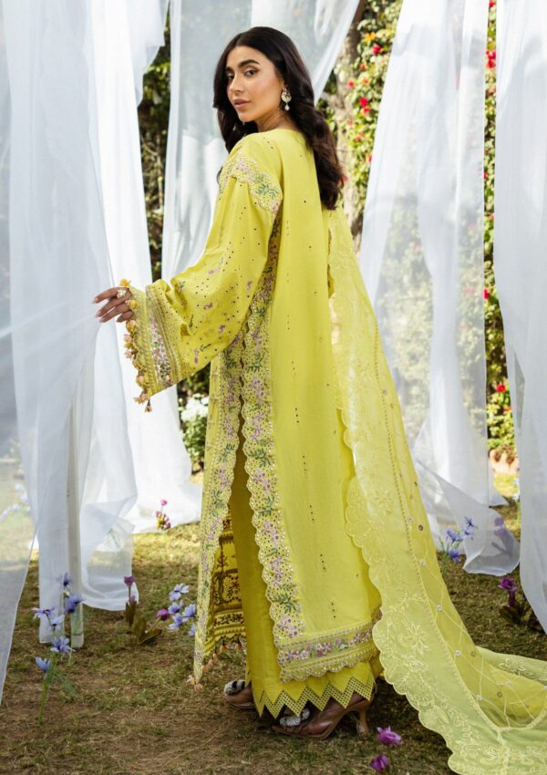 Akbar Aslam Alessandra D 156 Nivelle Lawn Collection