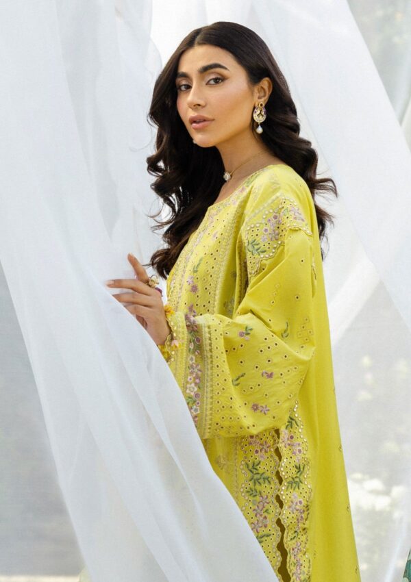 Akbar Aslam Alessandra D 156 Nivelle Lawn Collection