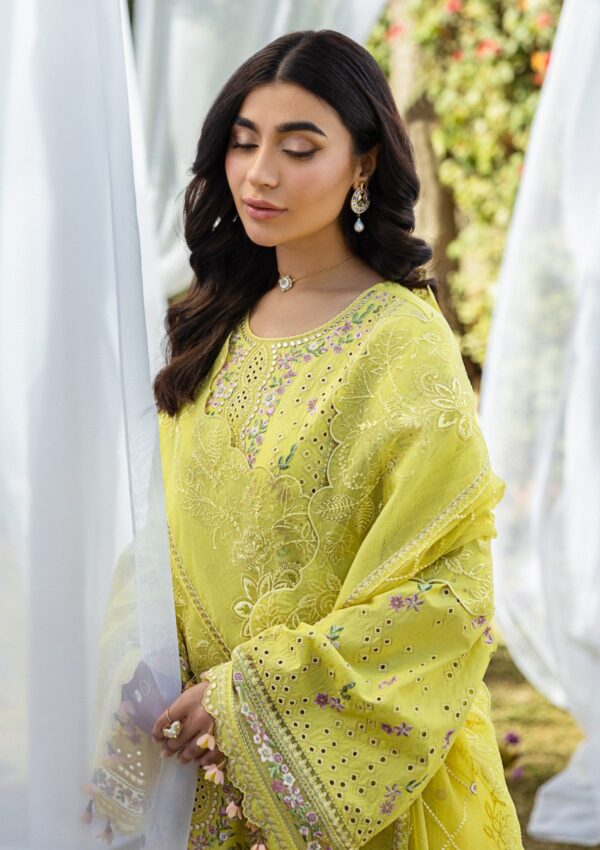 Akbar Aslam Alessandra D 156 Nivelle Lawn Collection