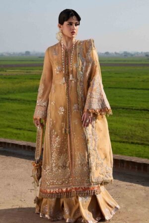 Hussain Rehar Darlings Festive Sundal Formal Collection