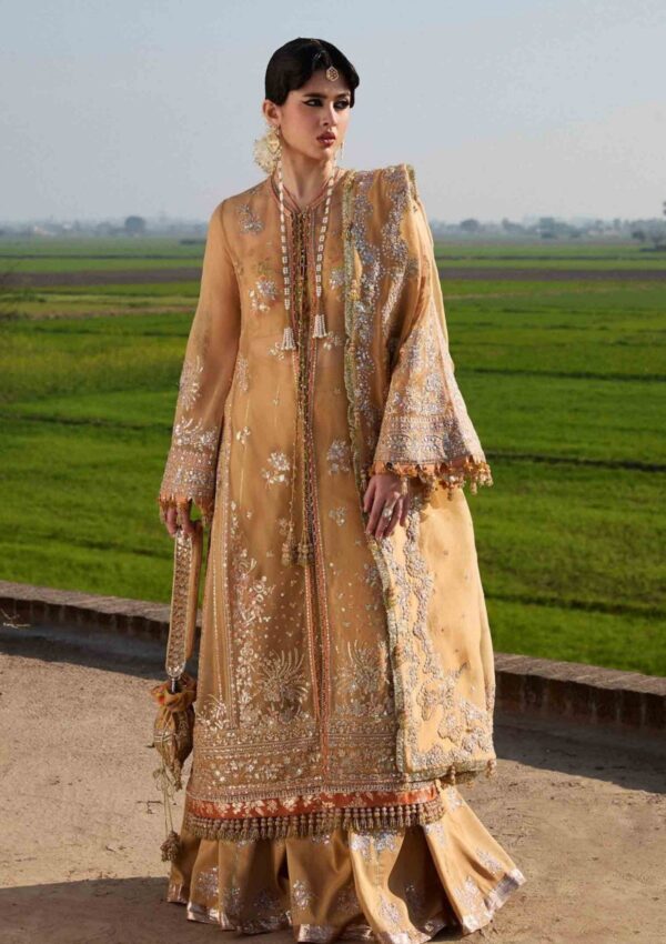 Hussain Rehar Darlings Festive Sundal Formal Collection