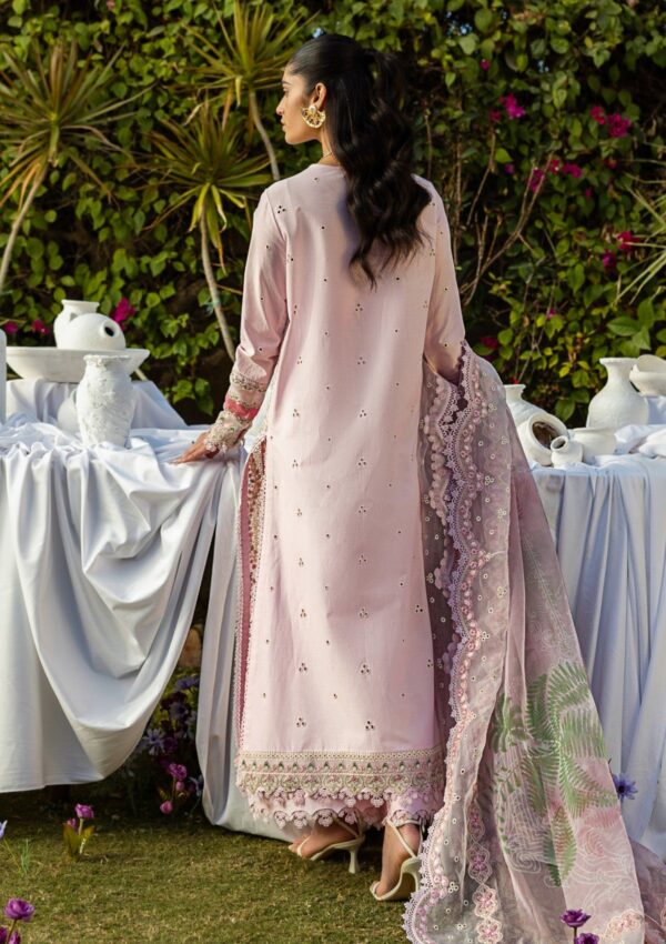 Akbar Aslam Alessandra D 150 Fiora Lawn Collection