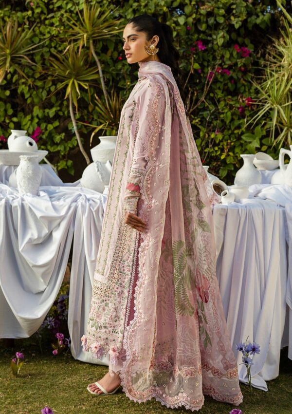 Akbar Aslam Alessandra D 150 Fiora Lawn Collection