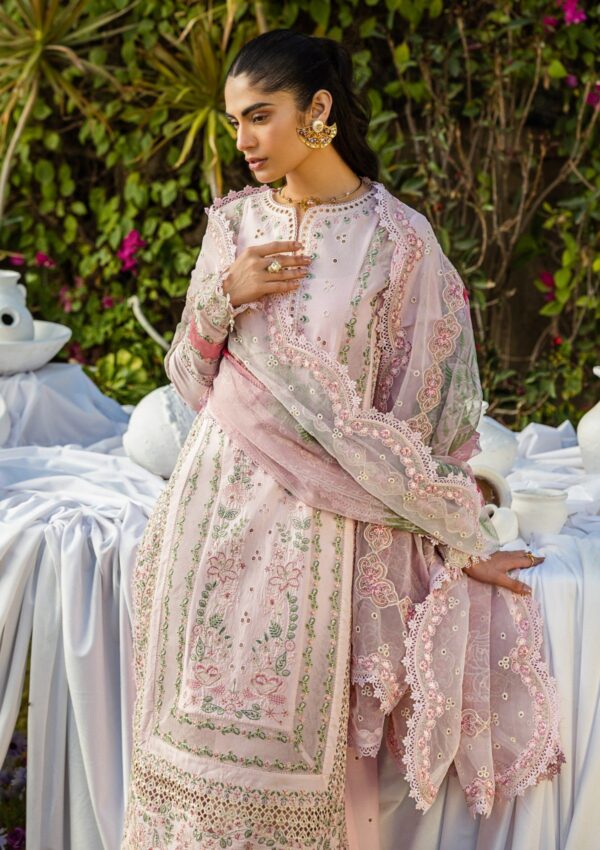 Akbar Aslam Alessandra D 150 Fiora Lawn Collection