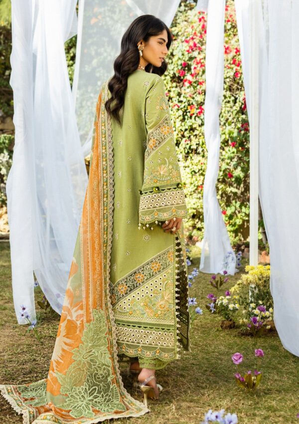 Akbar Aslam Alessandra D 158 Lumina Lawn Collection