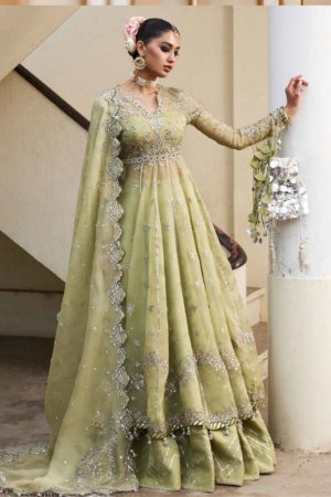 Hussain Rehar Darlings Festive Tahiri Formal Collection