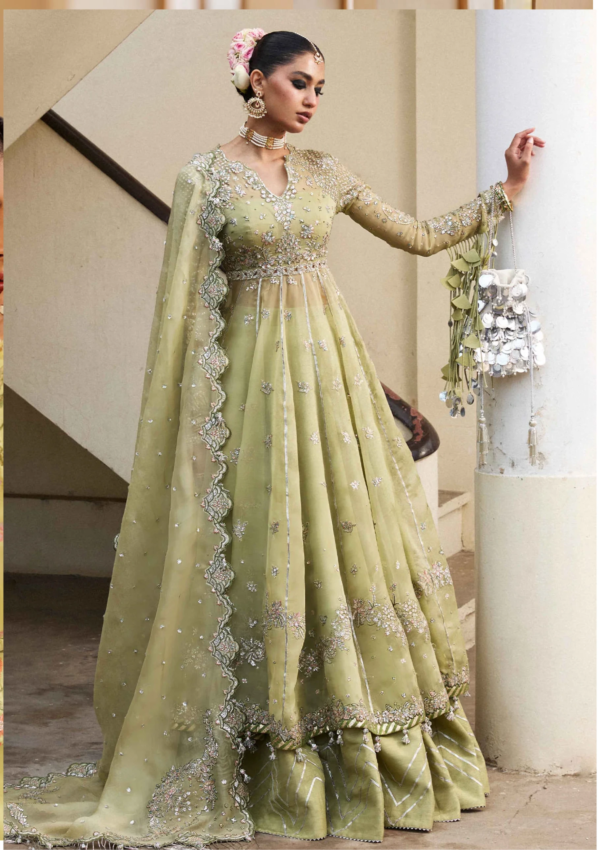 Hussain Rehar Darlings Festive Tahiri Formal Collection