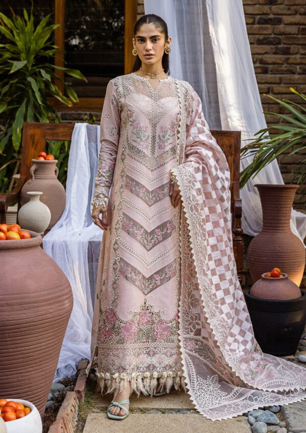 Akbar Aslam Alessandra D 151 Florin Lawn Collection