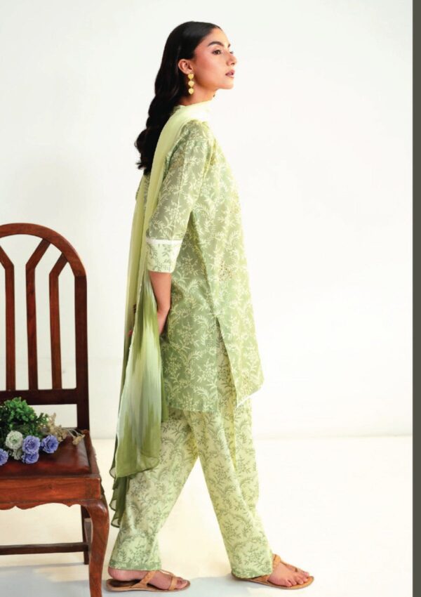 Humdum Rang E Bahar Hrb 09 Lawn Collection