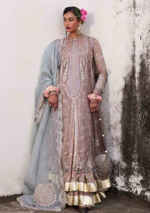 Hussain Rehar Darlings Festive Ziniya Formal Collection