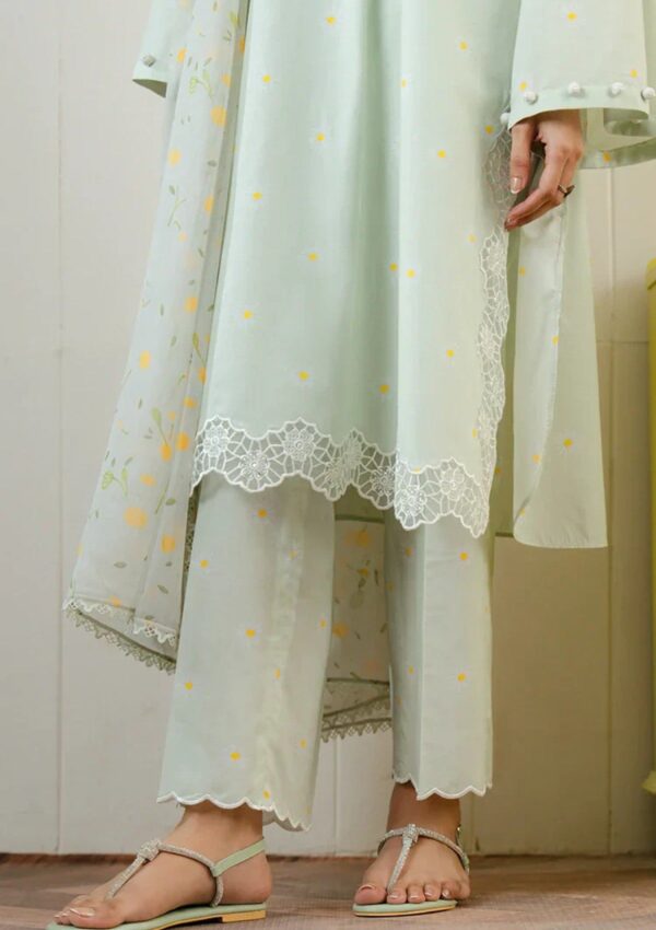 Cross Stitch Daily Wear Csd 02 Daisy Bloom Lawn Collection