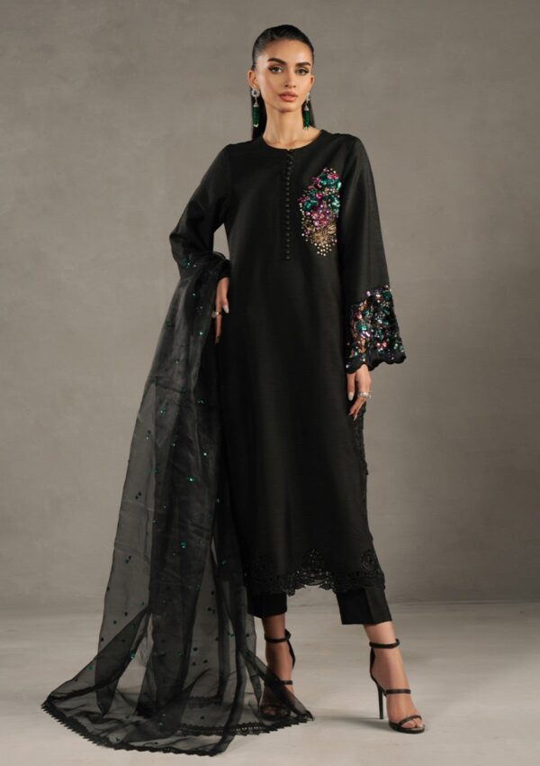 Zarqash Silk Edit Zqs 14 Della pret Collection