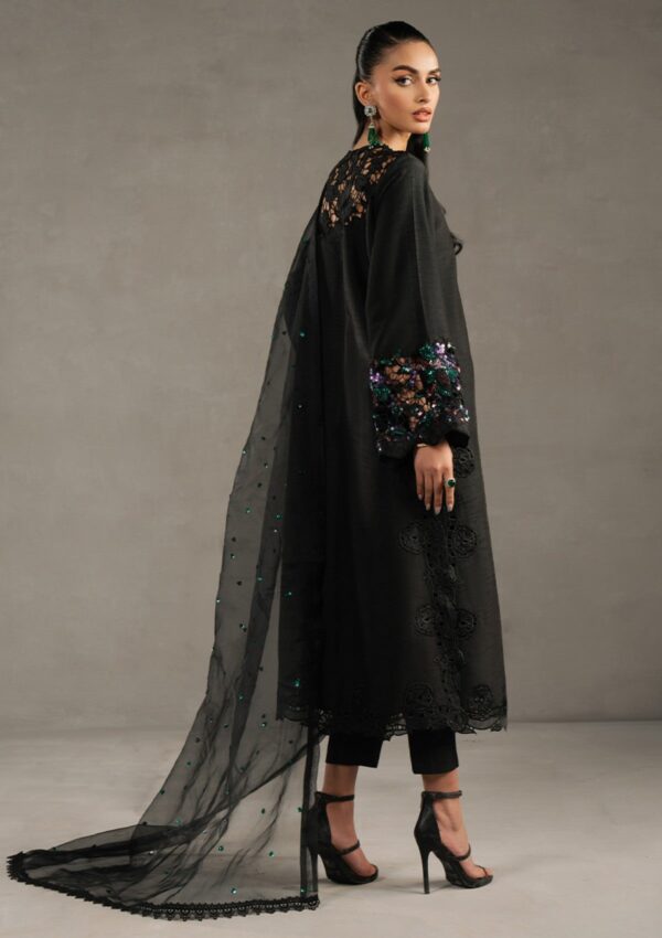 Zarqash Silk Edit Zqs 14 Della pret Collection