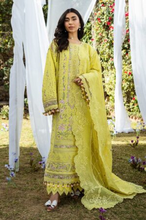 Akbar Aslam Alessandra D 156 Nivelle Lawn Collection