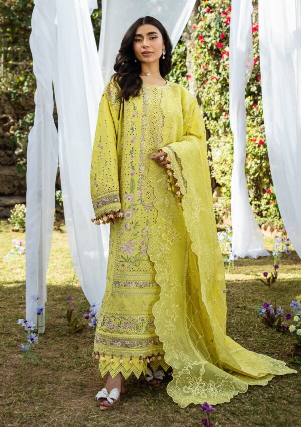 Akbar Aslam Alessandra D 156 Nivelle Lawn Collection