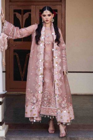 Hussain Rehar Darlings Festive Danara Formal Collection