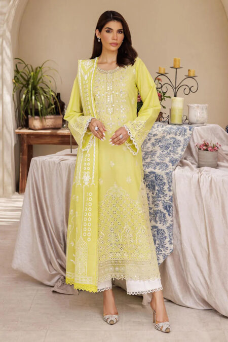 Rajbari Nissa Chikankari D 02