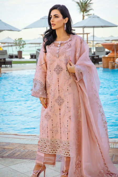 Rang Rasiya D 06 Amani