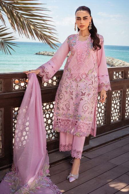 Rang Rasiya D 11 Natalia