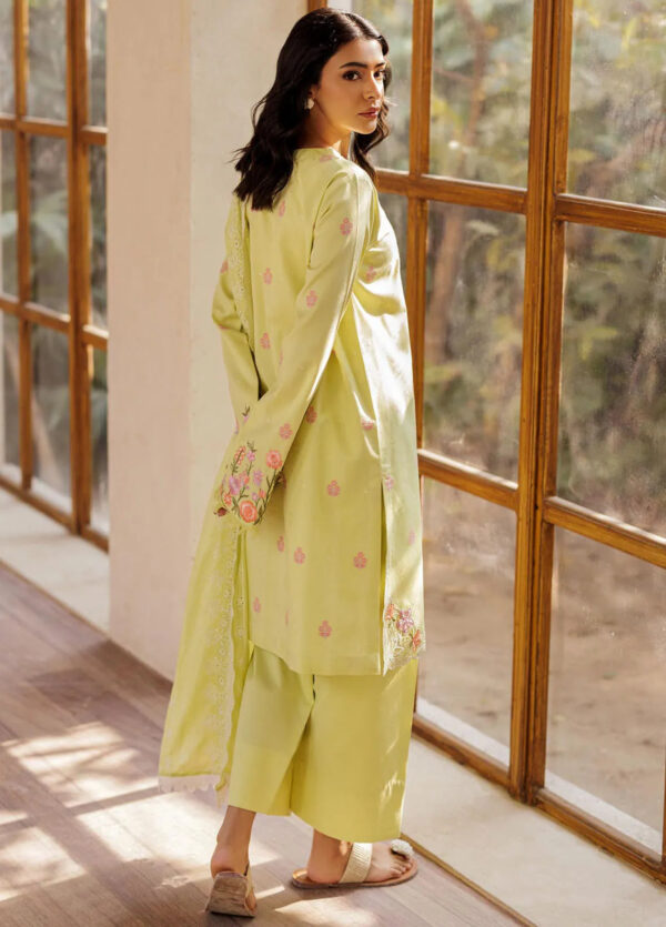 Rajbari Amari Embroidered Lawn Jacquard D 08 3pc Suit