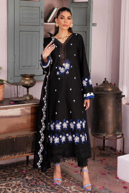 Rajbari Nissa Chikankari D 08