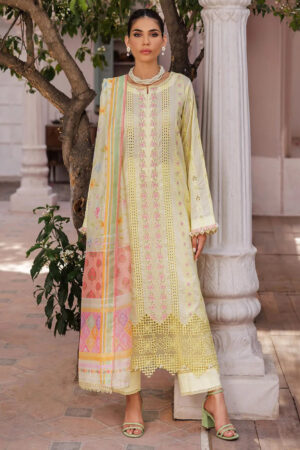 Rajbari Nissa Chikankari D 09